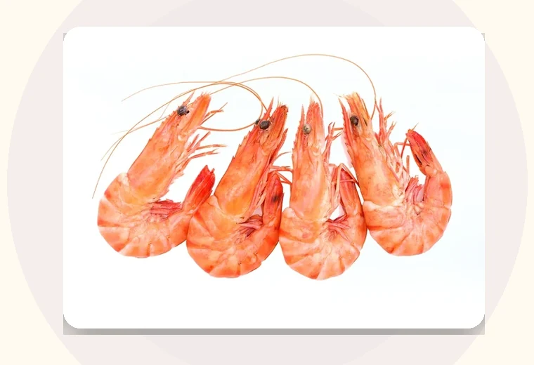 Shrimp